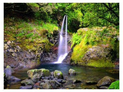 Holiday house Madeira Casa - Environment photo 37