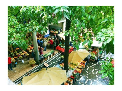 Holiday house Madeira Casa - Outdoor photo 38