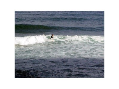 Holiday house Madeira Casa - Outdoor photo 40