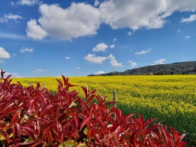 Apartment Wohnung in Tuoro am Lago Trasimeno - Environment photo 23