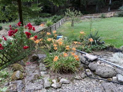 Holiday house Holliday blockhouse - Outdoor photo 8