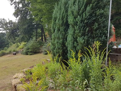 Holiday house Holliday blockhouse - Outdoor photo 12