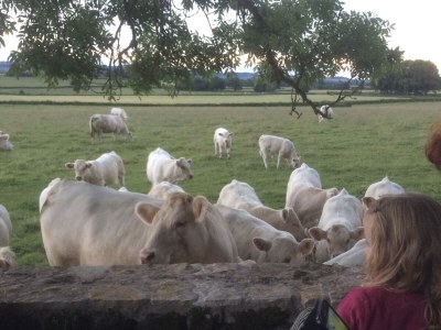 Holiday house Château de Promenois - Outdoor photo 9