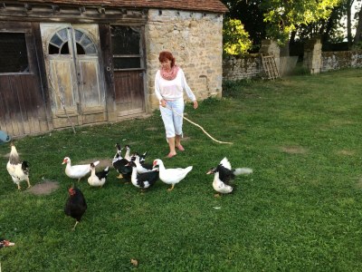 Holiday house Château de Promenois - Outdoor photo 11