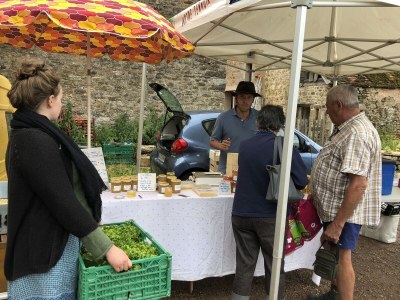 Holiday house Château de Promenois - Environment photo 20