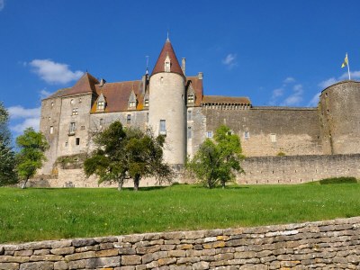 Holiday house Château de Promenois - Environment photo 21