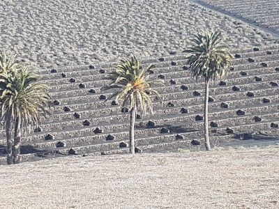 Holiday apartment Villa la Vega - Environment photo 33