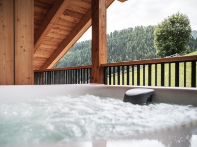 Chalet BatacÃ¶r - Features photo 22