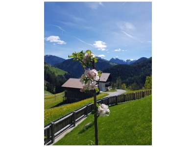 Chalet BatacÃ¶r - Environment photo 26