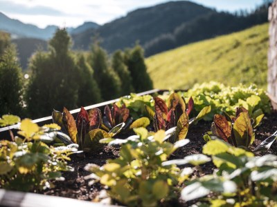 Chalet BatacÃ¶r - Environment photo 30