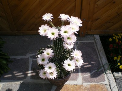 Holiday apartment GrÃ¼nbergblick - Outdoor photo 4