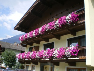 Holiday apartment GrÃ¼nbergblick - Outdoor photo 5