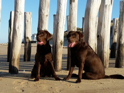 Holiday house Galgewei - Environment photo 21