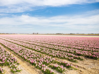 Holiday house Springtide - Environment photo 30