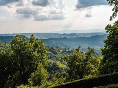 Apartment A Vineyard Apartment Retreat - Environment photo 29