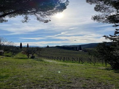 Apartment A Vineyard Apartment Retreat - Environment photo 35