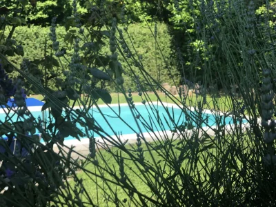 Holiday house Casa Relax - Outdoor photo 5