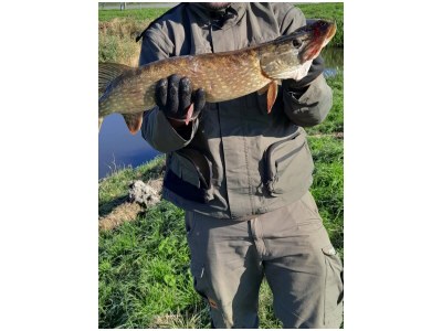 Holiday house Haus am Wasser - Environment photo 28