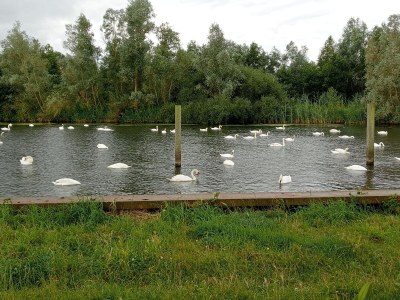 Holiday house Haus am Wasser - Environment photo 29