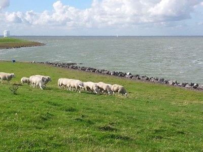 Holiday house Haus am Wasser - Environment photo 32