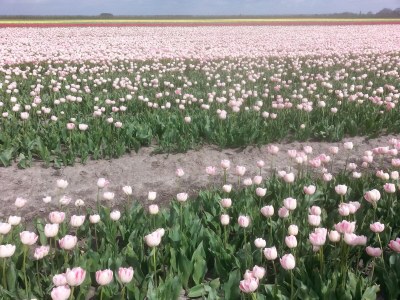 Holiday house Haus am Wasser - Environment photo 36