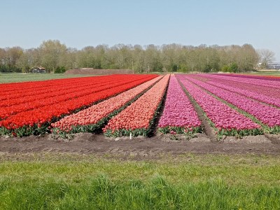 Holiday house Haus am Wasser - Environment photo 37