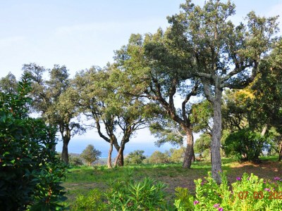 Villa Plein Ciel - Environment photo 29