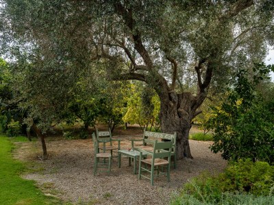 Villa in Kamilari - Outdoor photo 12