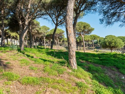 Villa Villa in Isla Cristina near Santana Beach - Environment photo 21