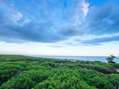 Villa Villa in Isla Cristina near Santana Beach - Environment photo 29