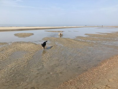 Holiday house Zandduin - Environment photo 31