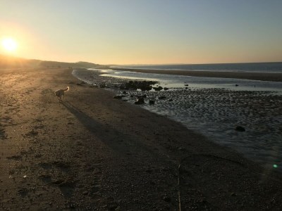 Holiday house Zandduin - Environment photo 36