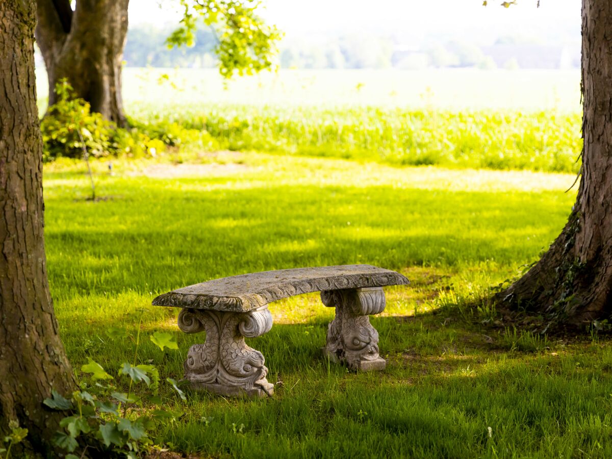 Holiday house Gutshaus Kleine Gönn - Outdoor photo 5