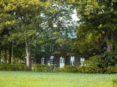 Holiday house Gutshaus Kleine Gönn - Outdoor photo 3