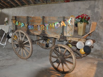 Holiday house Gutshaus Kleine Gönn - Outdoor photo 15