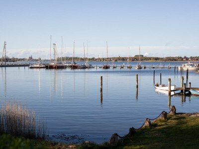Holiday apartment Schlei Liebe - Outdoor photo 12