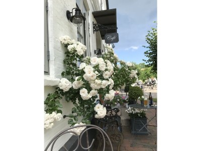 Holiday apartment Schlei Liebe - Outdoor photo 13