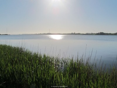 Holiday apartment Schlei Liebe - Environment photo 24