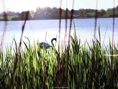 Holiday apartment Schlei Liebe - Environment photo 25