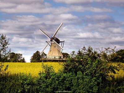 Holiday apartment Schlei Liebe - Environment photo 30