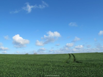 Holiday apartment Schlei Liebe - Environment photo 31