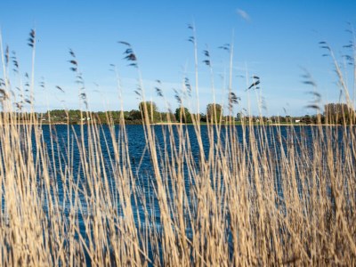 Holiday apartment Schlei Liebe - Environment photo 34