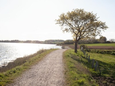Holiday apartment Schlei Liebe - Environment photo 35