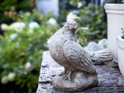 Holiday apartment Schwanen Herz - Outdoor photo 3