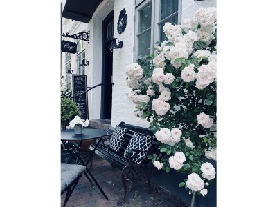 Holiday apartment Schwanen Herz - Outdoor photo 9