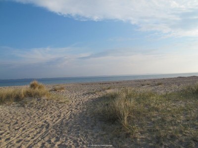 Holiday apartment Schwanen Herz - Environment photo 24