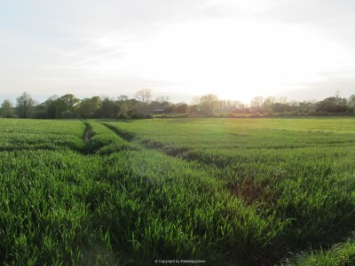 Holiday apartment Schwanen Herz - Environment photo 25