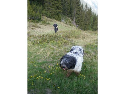 Holiday apartment Eisenspitze - Outdoor photo 15