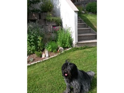 Holiday apartment Eisenspitze - Environment photo 26