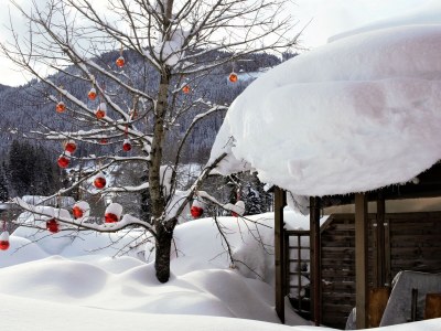 Apartment Dahoam - Outdoor photo 8